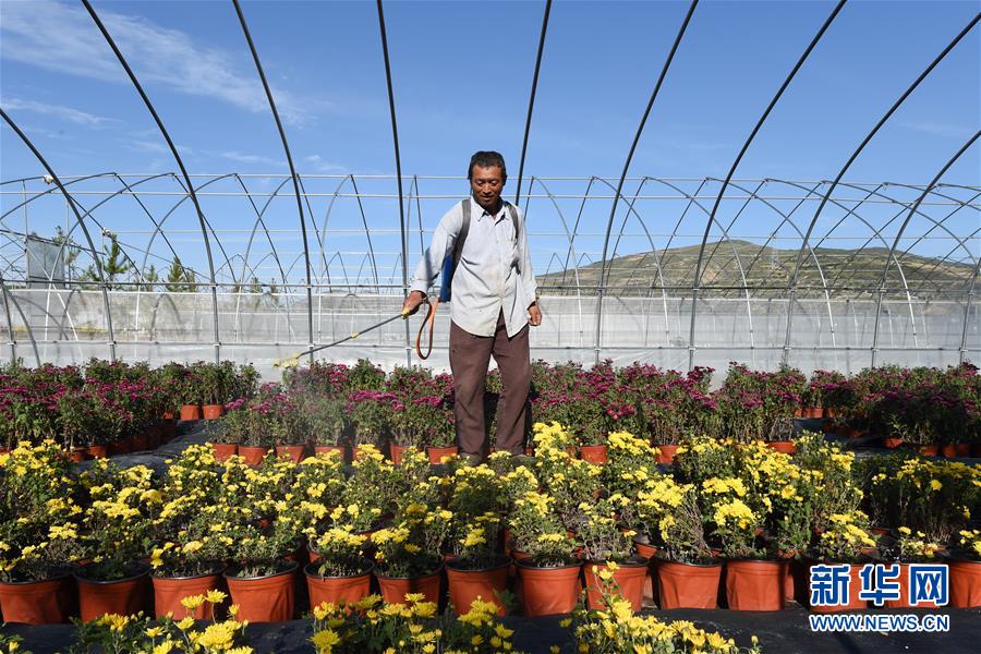 （新華全媒頭條&middot;走向我們的小康生活&middot;圖文互動(dòng)）（10）&ldquo;苦甲&rdquo;不再，&ldquo;甘味&rdquo;綿長(zhǎng)&mdash;&mdash;脫貧攻堅(jiān)的甘肅味道