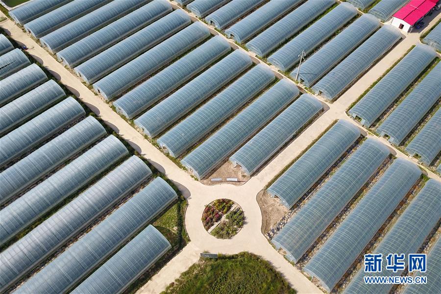 （新華全媒頭條&middot;走向我們的小康生活&middot;圖文互動(dòng)）（11）&ldquo;苦甲&rdquo;不再，&ldquo;甘味&rdquo;綿長(zhǎng)&mdash;&mdash;脫貧攻堅(jiān)的甘肅味道