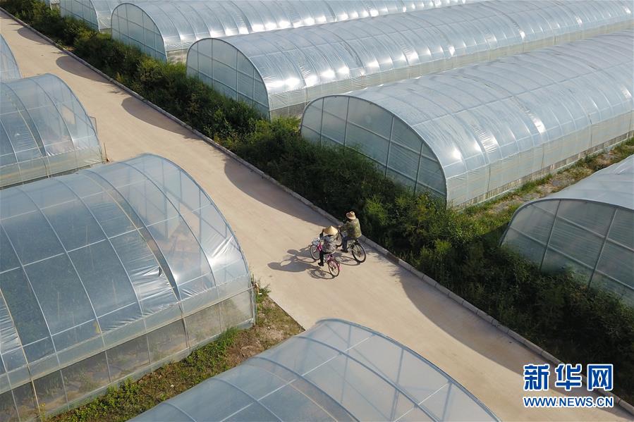 （走向我們的小康生活&middot;圖文互動）（3）&ldquo;荒涼&rdquo;土地掘金記&mdash;&mdash;甘肅旱作農(nóng)業(yè)發(fā)展&ldquo;變奏曲&rdquo;