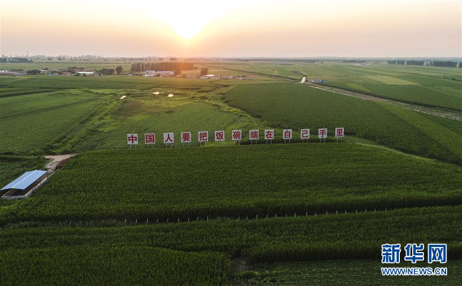 （新華全媒頭條&middot;圖文互動）（6）為現(xiàn)代農(nóng)業(yè)探新路&mdash;&mdash;來自吉林梨樹的田野報告