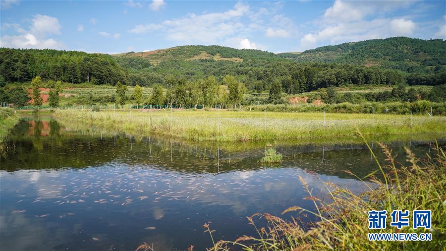 (新華全媒頭條·決戰(zhàn)決勝脫貧攻堅(jiān)·督戰(zhàn)未摘帽貧困縣·圖文互動(dòng))(4)苦蕎花開(kāi)大涼山——四川7個(gè)未摘帽縣脫貧攻堅(jiān)一線觀察