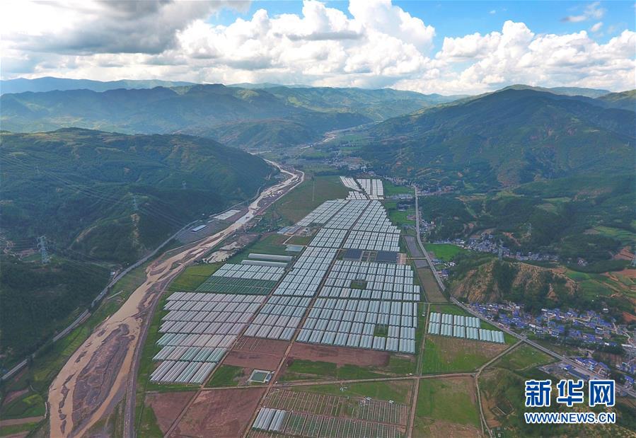 (新華全媒頭條·決戰(zhàn)決勝脫貧攻堅(jiān)·督戰(zhàn)未摘帽貧困縣·圖文互動(dòng))(10)苦蕎花開(kāi)大涼山——四川7個(gè)未摘帽縣脫貧攻堅(jiān)一線觀察