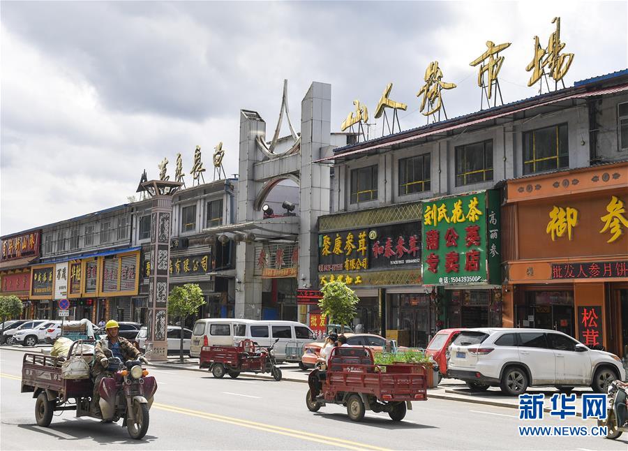 （走向我們的小康生活）（12）人參產(chǎn)業(yè)助民增收