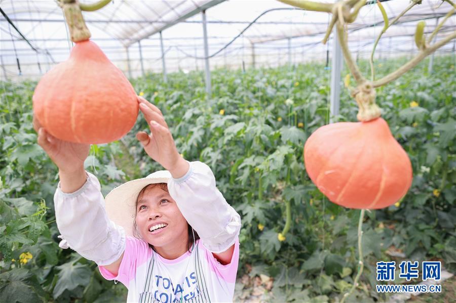 （走向我們的小康生活&middot;決戰(zhàn)決勝脫貧攻堅(jiān)&middot;圖文互動(dòng)）（2）麻山突圍記