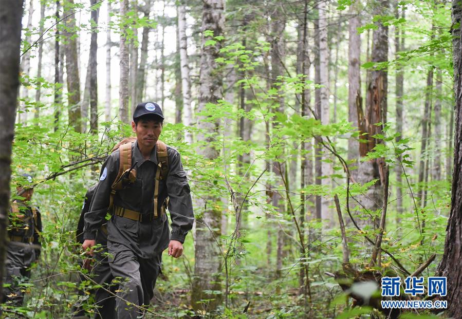 （圖文互動）（1）長白山60年書寫&ldquo;生態(tài)答卷&rdquo;