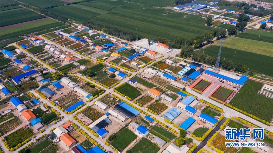 （新華全媒頭條&middot;走向我們的小康生活&middot;圖文互動）（1）黑土地上是我家&mdash;&mdash;在吉林，一瞥中國東北鄉(xiāng)村美麗未來
