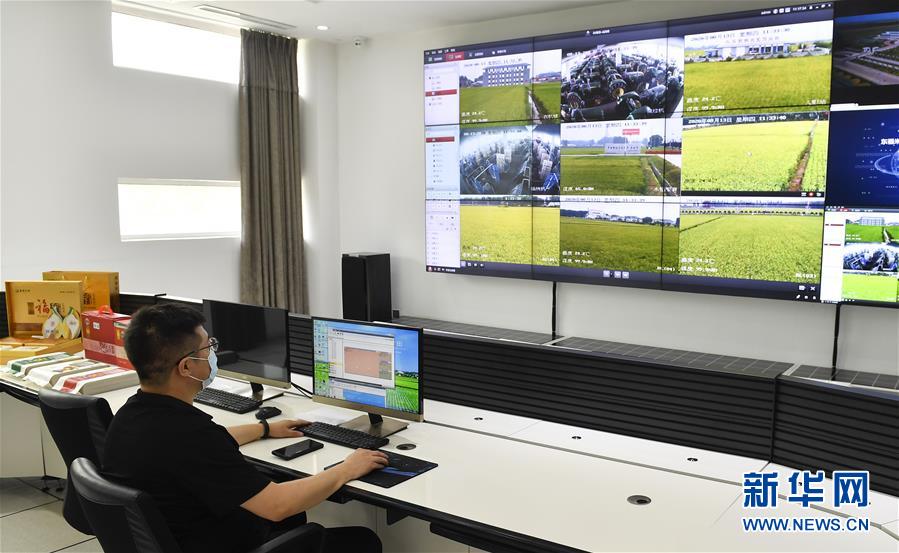 （新華全媒頭條&middot;走向我們的小康生活&middot;圖文互動）（4）黑土地上是我家&mdash;&mdash;在吉林，一瞥中國東北鄉(xiāng)村美麗未來