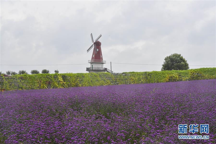 （新華全媒頭條&middot;走向我們的小康生活&middot;圖文互動）（6）黑土地上是我家&mdash;&mdash;在吉林，一瞥中國東北鄉(xiāng)村美麗未來