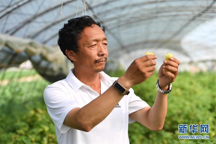 （新華全媒頭條&middot;走向我們的小康生活&middot;圖文互動）（7）黑土地上是我家&mdash;&mdash;在吉林，一瞥中國東北鄉(xiāng)村美麗未來