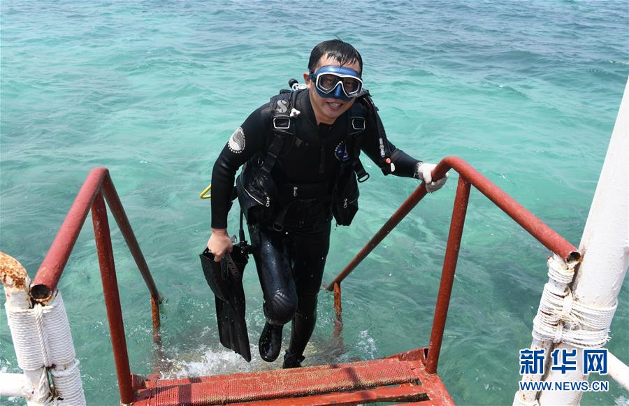 （在習(xí)近平新時(shí)代中國特色社會(huì)主義思想指引下&mdash;&mdash;新時(shí)代新作為新篇章&middot;習(xí)近平總書記關(guān)切事&middot;圖文互動(dòng)）（5）終不悔為國為民，攀高峰只爭(zhēng)朝夕&mdash;&mdash;來自科學(xué)家們的動(dòng)人故事