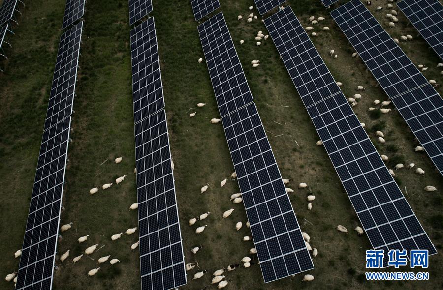 (新華全媒頭條·走向我們的小康生活·決戰(zhàn)決勝脫貧攻堅(jiān)·圖文互動(dòng))(3)高原上綻放的光芒——來(lái)自青海攻克深度貧困堡壘的故事