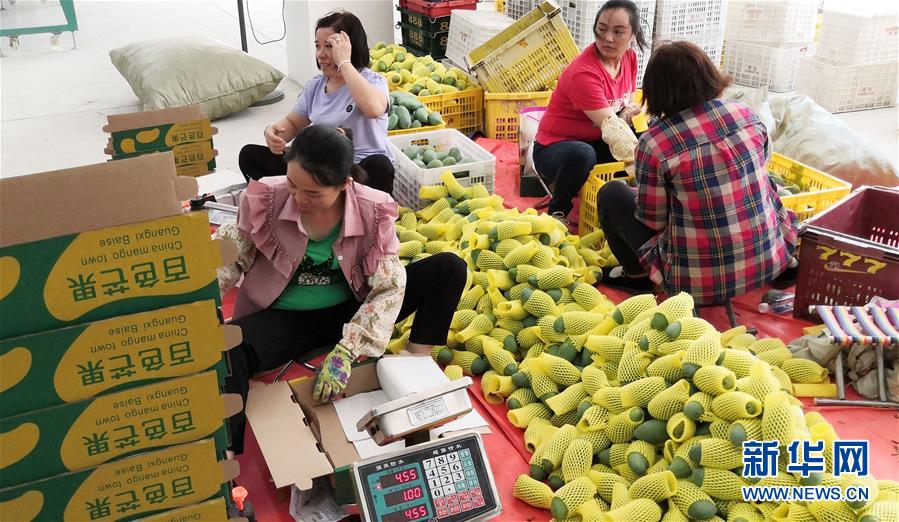 （決戰(zhàn)決勝脫貧攻堅(jiān)&middot;圖文互動(dòng)）（3）同飲一江水 攜手&ldquo;斬窮根&rdquo;&mdash;&mdash;深圳對(duì)口廣西河池、百色扶貧協(xié)作見聞