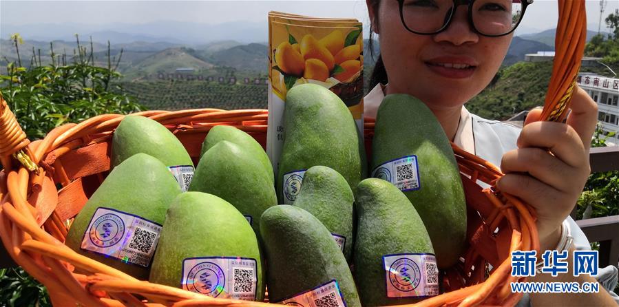 （決戰(zhàn)決勝脫貧攻堅(jiān)&middot;圖文互動(dòng)）（7）同飲一江水 攜手&ldquo;斬窮根&rdquo;&mdash;&mdash;深圳對(duì)口廣西河池、百色扶貧協(xié)作見聞