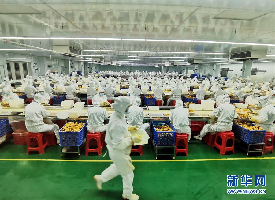 （決戰(zhàn)決勝脫貧攻堅(jiān)&middot;圖文互動(dòng)）（8）同飲一江水 攜手&ldquo;斬窮根&rdquo;&mdash;&mdash;深圳對(duì)口廣西河池、百色扶貧協(xié)作見聞