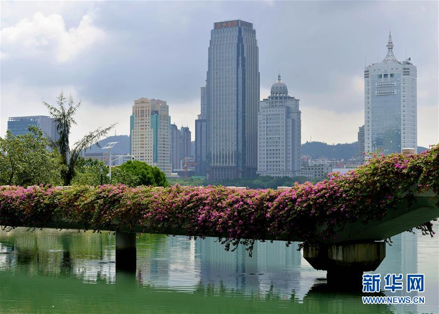 （特區(qū)40年?圖文互動(dòng)）（7）廈庇五洲客 門納萬頃濤&mdash;&mdash;廈門經(jīng)濟(jì)特區(qū)40年發(fā)展紀(jì)實(shí)