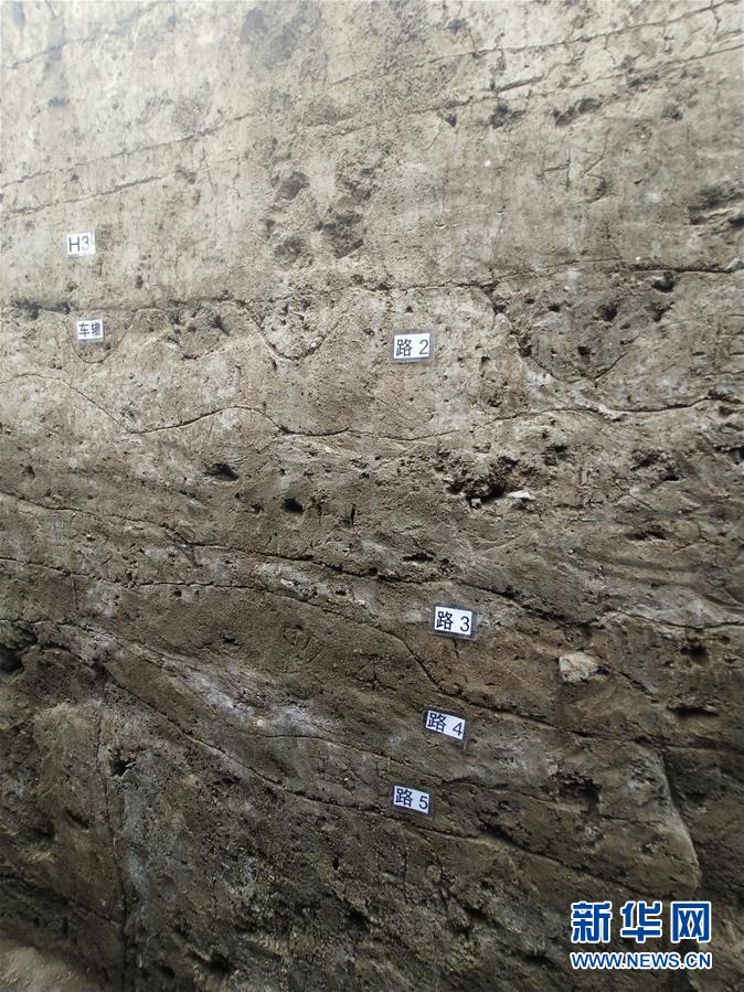 (圖文互動(dòng))(1)漢魏洛陽(yáng)城東西向大道重現(xiàn)天日 見(jiàn)證500多年間王朝更迭