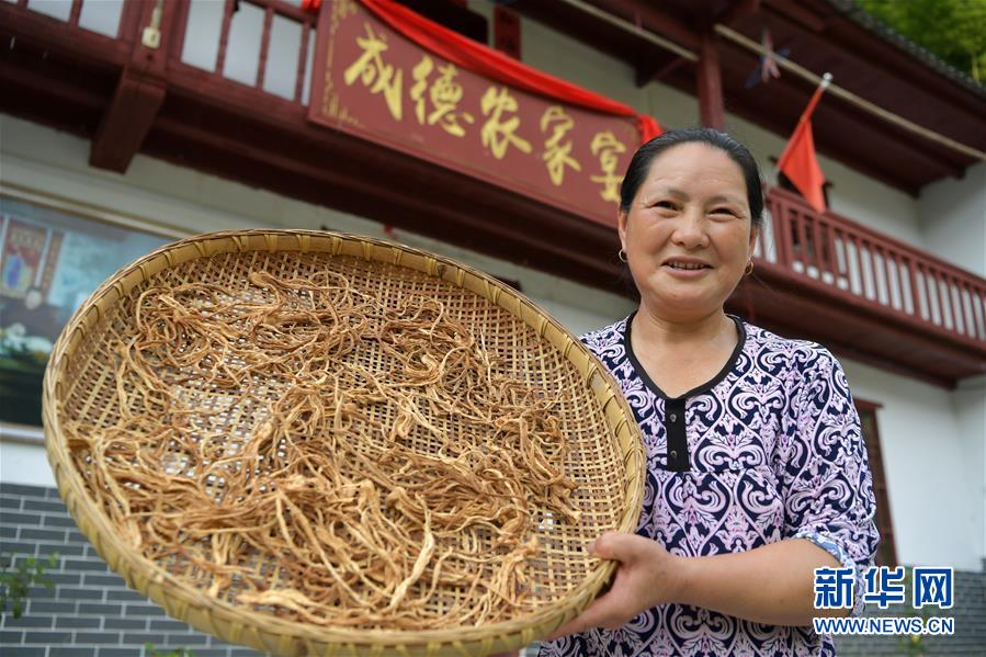 （新華全媒頭條&middot;走向我們的小康生活&middot;圖文互動）（4）神山村&ldquo;神奇&rdquo;何在？&mdash;&mdash;井岡山深處覓答案