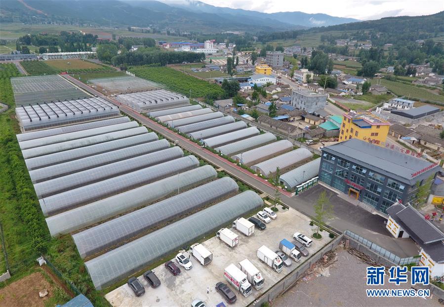 （走向我們的小康生活&middot;決戰(zhàn)決勝脫貧攻堅&middot;圖文互動）（1）把產業(yè)興盛之&ldquo;根&rdquo;扎進大涼山