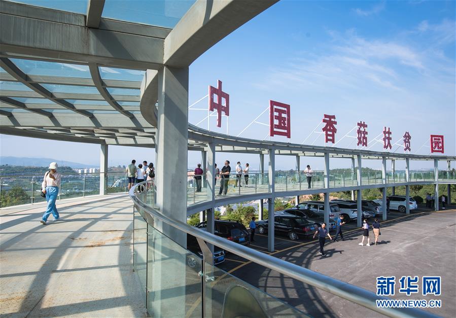 （新華全媒頭條&middot;走向我們的小康生活&middot;圖文互動）（2）特殊之年，荊楚大地書寫不平凡的答卷