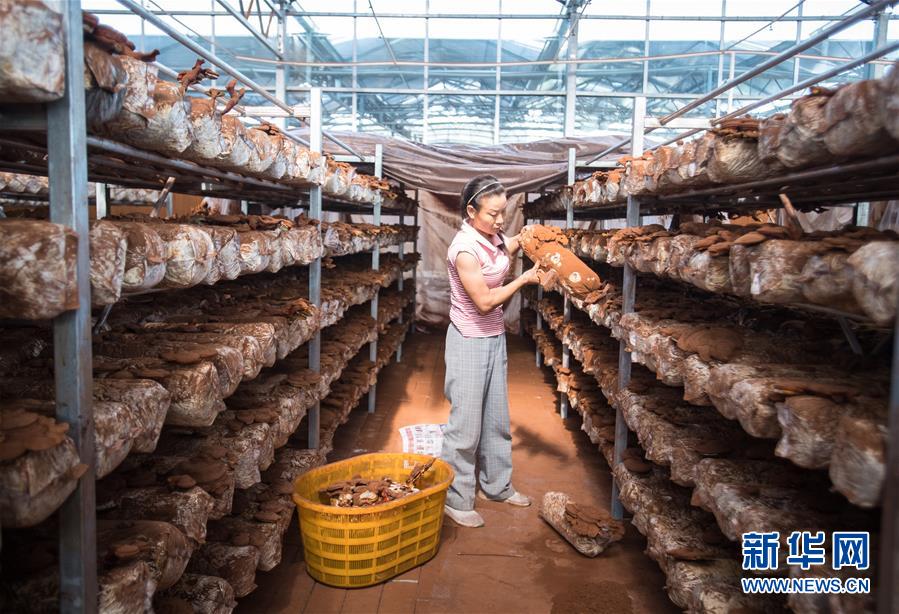 （新華全媒頭條&middot;走向我們的小康生活&middot;圖文互動）（3）特殊之年，荊楚大地書寫不平凡的答卷