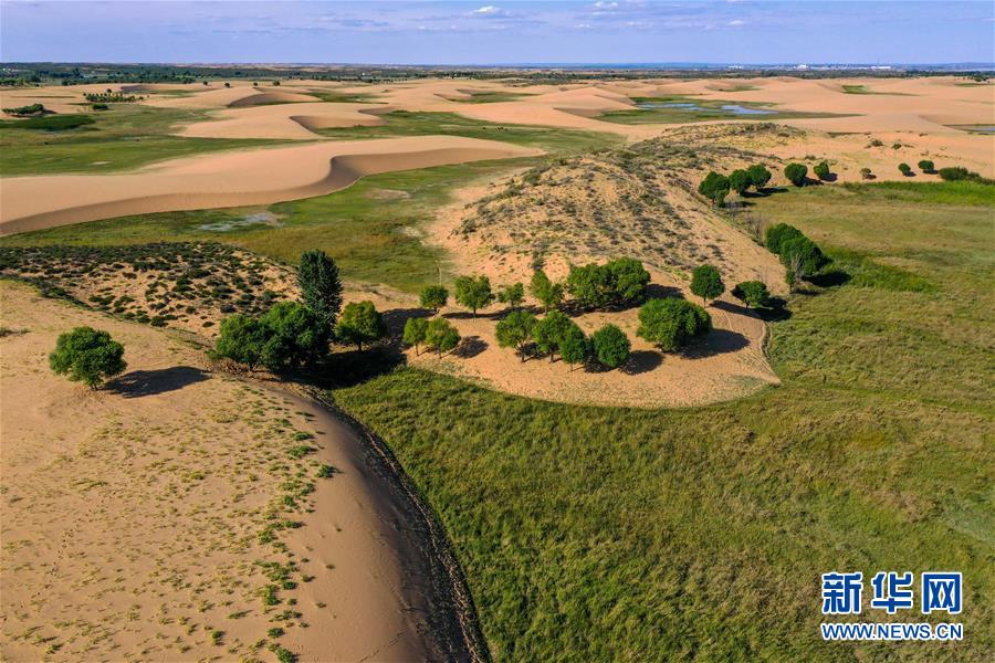 （在習(xí)近平新時(shí)代中國特色社會(huì)主義思想指引下&mdash;&mdash;新時(shí)代新作為新篇章&middot;習(xí)近平總書記關(guān)切事&middot;圖文互動(dòng)）（10）綠意，在黃沙中鋪展&mdash;&mdash;我國防沙治沙紀(jì)實(shí)