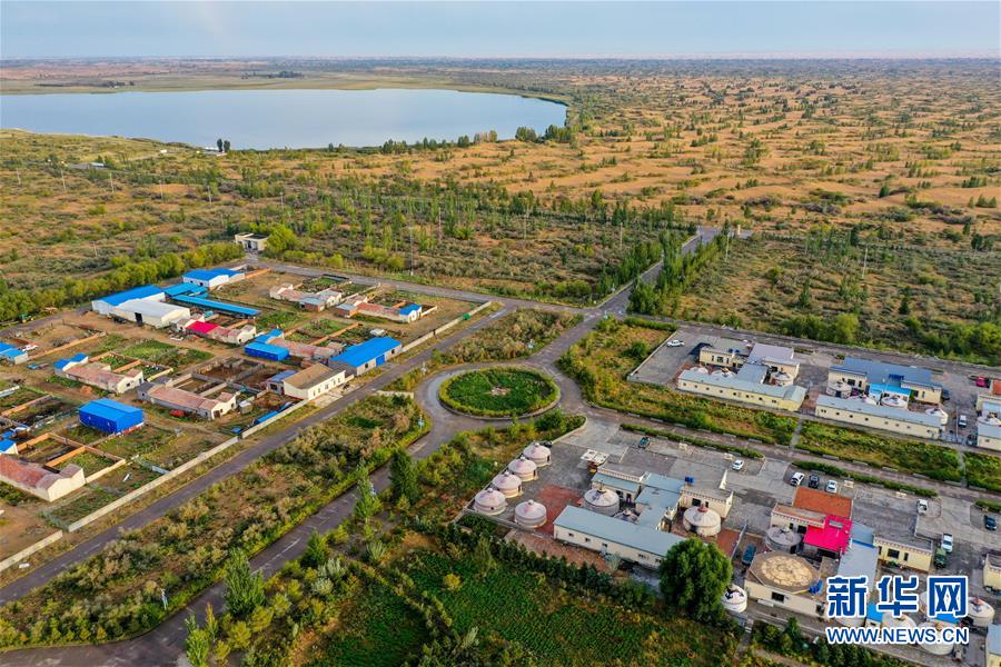 （在習(xí)近平新時(shí)代中國特色社會(huì)主義思想指引下&mdash;&mdash;新時(shí)代新作為新篇章&middot;習(xí)近平總書記關(guān)切事&middot;圖文互動(dòng)）（12）綠意，在黃沙中鋪展&mdash;&mdash;我國防沙治沙紀(jì)實(shí)