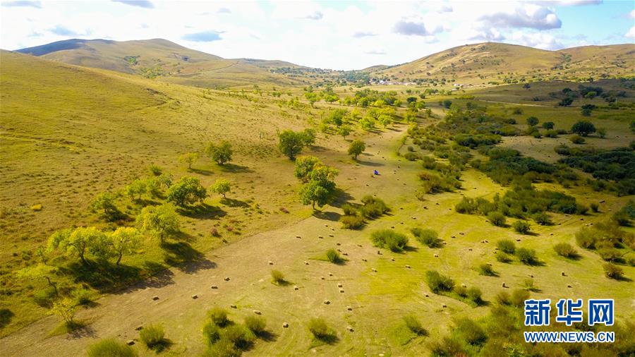 （在習(xí)近平新時(shí)代中國特色社會(huì)主義思想指引下&mdash;&mdash;新時(shí)代新作為新篇章&middot;習(xí)近平總書記關(guān)切事&middot;圖文互動(dòng)）（4）綠意，在黃沙中鋪展&mdash;&mdash;我國防沙治沙紀(jì)實(shí)