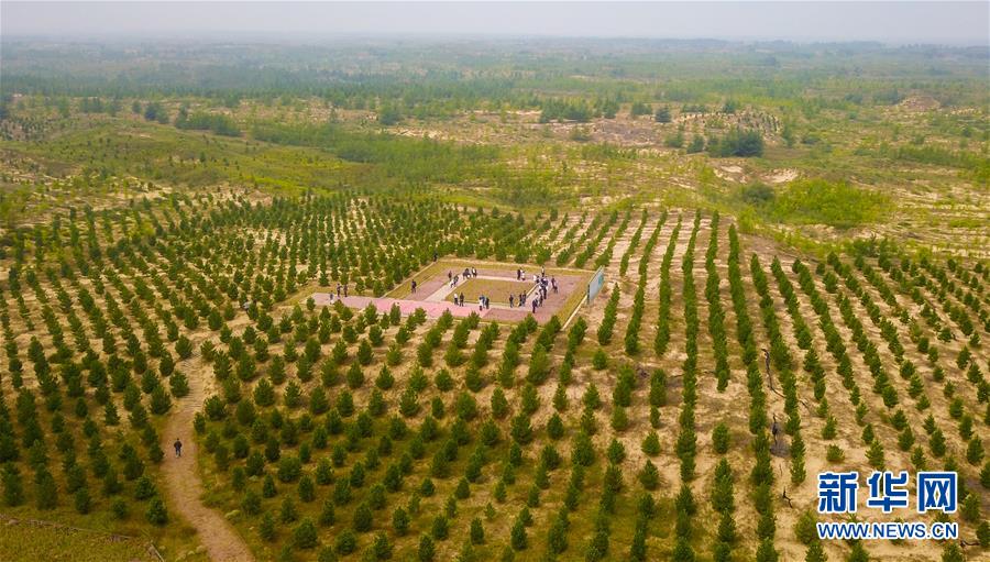 （在習(xí)近平新時(shí)代中國特色社會(huì)主義思想指引下&mdash;&mdash;新時(shí)代新作為新篇章&middot;習(xí)近平總書記關(guān)切事&middot;圖文互動(dòng)）（2）綠意，在黃沙中鋪展&mdash;&mdash;我國防沙治沙紀(jì)實(shí)