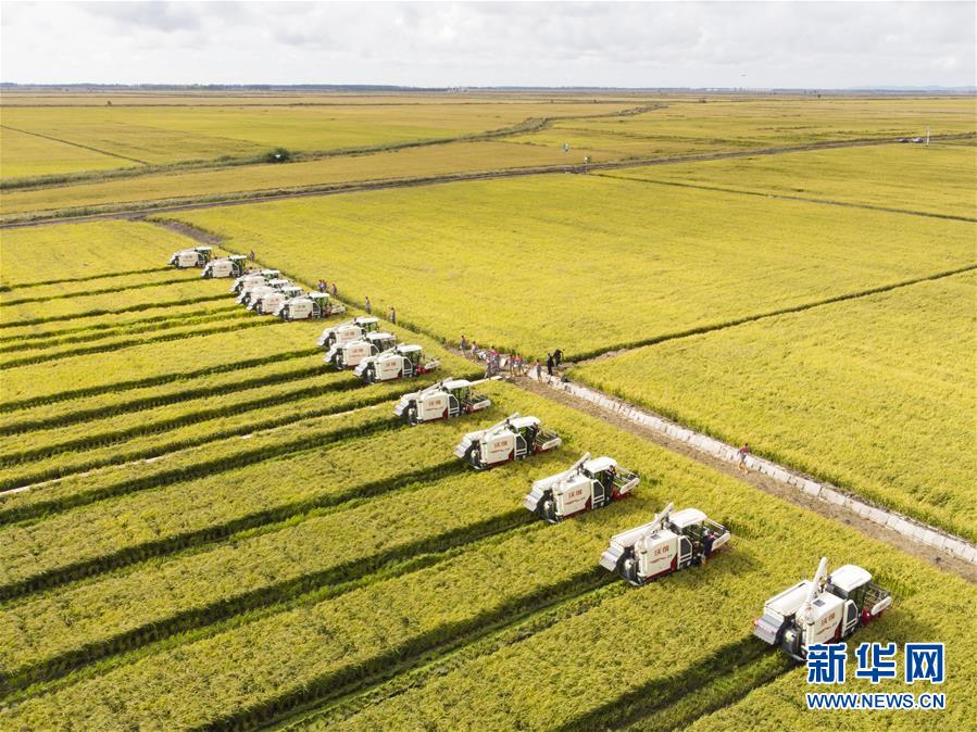 （新華全媒頭條&middot;圖文互動）（15）奮斗結(jié)碩果，再寫新篇章&mdash;&mdash;寫在共和國71周年華誕之際