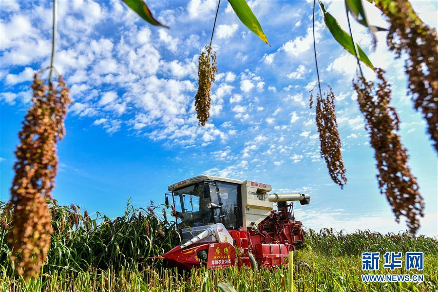 （新華全媒頭條&middot;圖文互動）（17）奮斗結(jié)碩果，再寫新篇章&mdash;&mdash;寫在共和國71周年華誕之際
