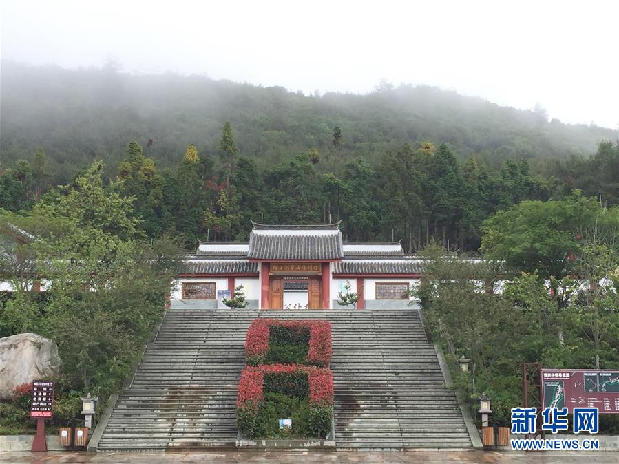 (熱點鮮報·圖文互動)(5)善洲精神永相傳:留下一片綠洲 造福家鄉(xiāng)百姓