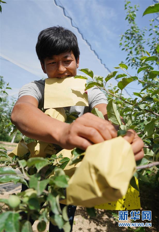 （習(xí)近平的小康故事&middot;圖文互動(dòng)）（2）&ldquo;我很期盼的一件事，就是讓鄉(xiāng)親們飽餐一頓肉&rdquo;&mdash;&mdash;習(xí)近平和脫貧攻堅(jiān)的故事