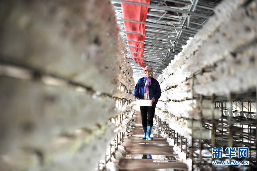 （習(xí)近平的小康故事&middot;圖文互動(dòng)）（6）&ldquo;我很期盼的一件事，就是讓鄉(xiāng)親們飽餐一頓肉&rdquo;&mdash;&mdash;習(xí)近平和脫貧攻堅(jiān)的故事