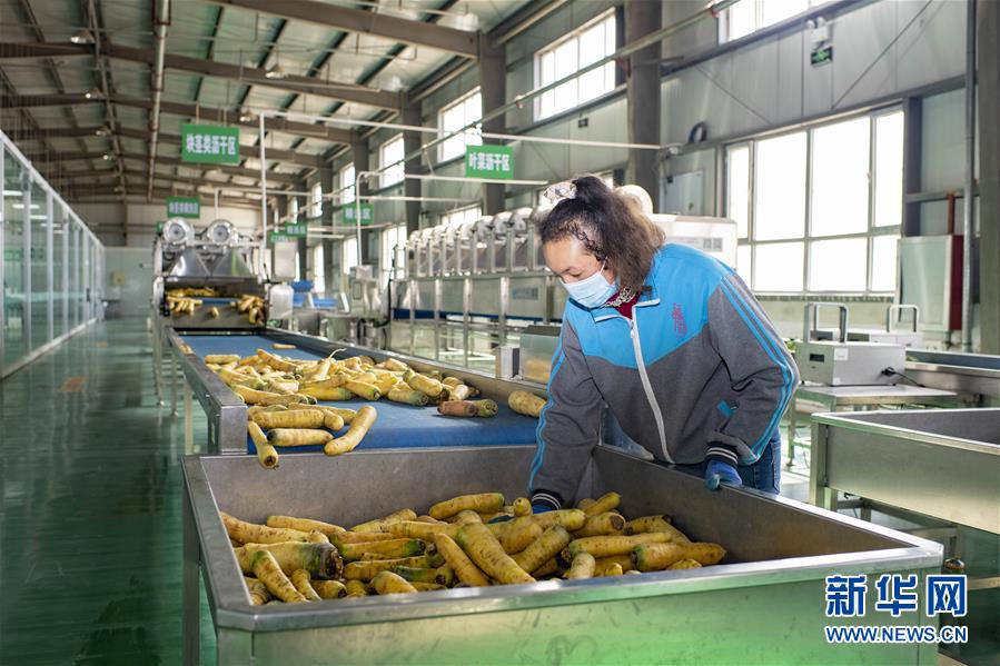 （聚焦疫情防控&middot;圖文互動）（2）把握先機 應對有序&mdash;&mdash;新疆疏附縣全力阻斷新冠肺炎病毒傳播