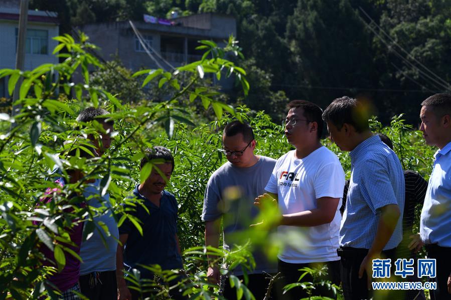 （決戰(zhàn)決勝脫貧攻堅&middot;圖文互動）（3）&ldquo;堵槍眼&rdquo;的脫貧戰(zhàn)怎么打？&mdash;&mdash;繼光村見聞