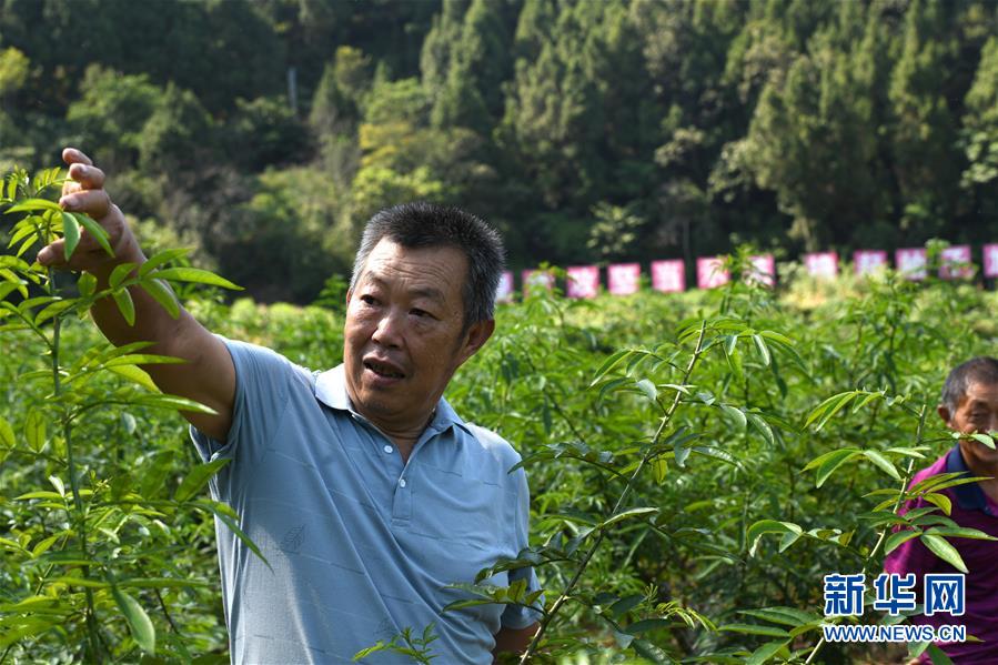 （決戰(zhàn)決勝脫貧攻堅&middot;圖文互動）（4）&ldquo;堵槍眼&rdquo;的脫貧戰(zhàn)怎么打？&mdash;&mdash;繼光村見聞