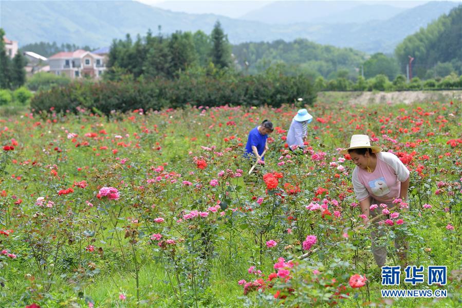 （新華全媒頭條&middot;圖文互動）（1）幕阜山&ldquo;搬窮&rdquo;記