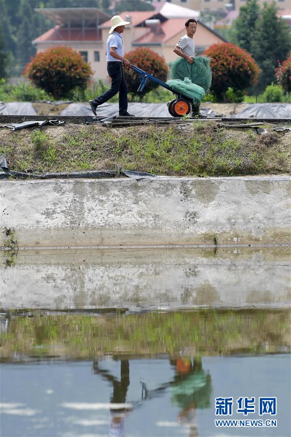 （新華全媒頭條&middot;圖文互動）（3）幕阜山&ldquo;搬窮&rdquo;記