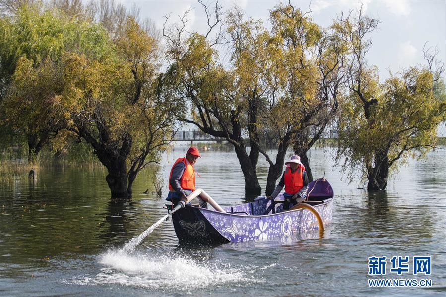 （新華全媒頭條&middot;五中全會精神在基層&middot;圖文互動）（9）奮發(fā)新青年　逐夢新征程&mdash;&mdash;各地青年學(xué)習(xí)貫徹落實(shí)五中全會精神觀察