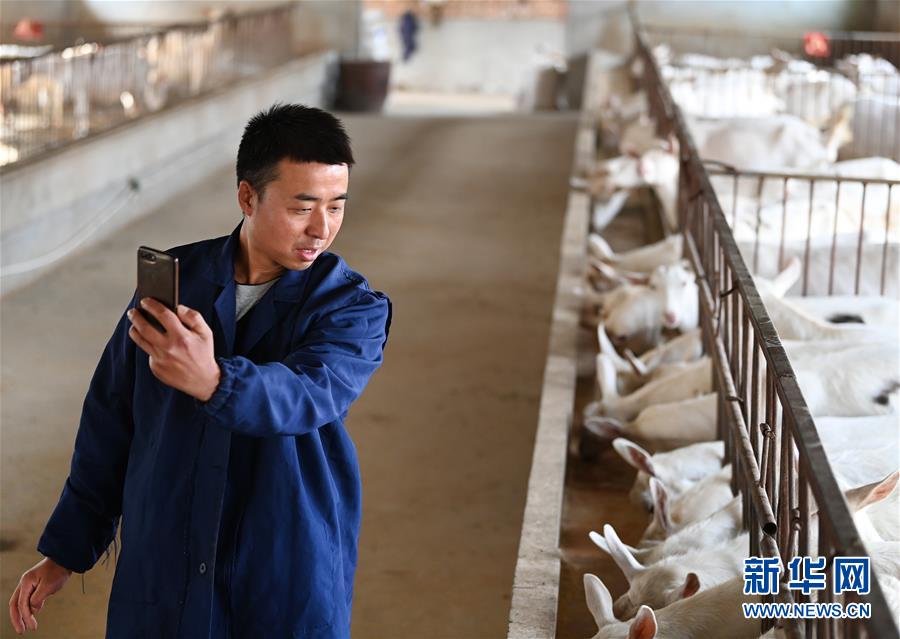 （新華全媒頭條&middot;五中全會精神在基層&middot;圖文互動）（12）奮發(fā)新青年　逐夢新征程&mdash;&mdash;各地青年學(xué)習(xí)貫徹落實(shí)五中全會精神觀察