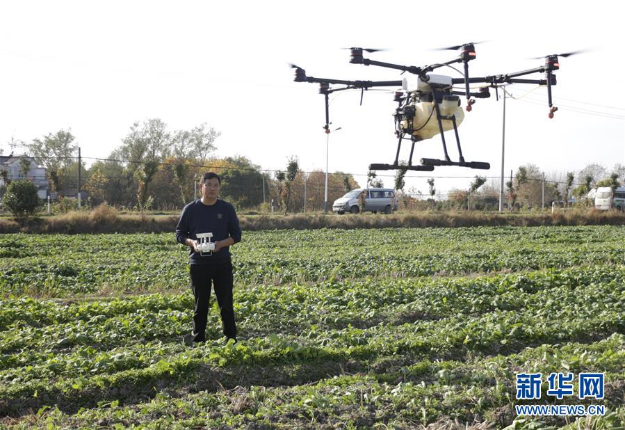 (全面建成小康社會“百城千縣萬村調(diào)研行”·圖文互動)(2)安徽當涂:強產(chǎn)業(yè)抓主體促增收
