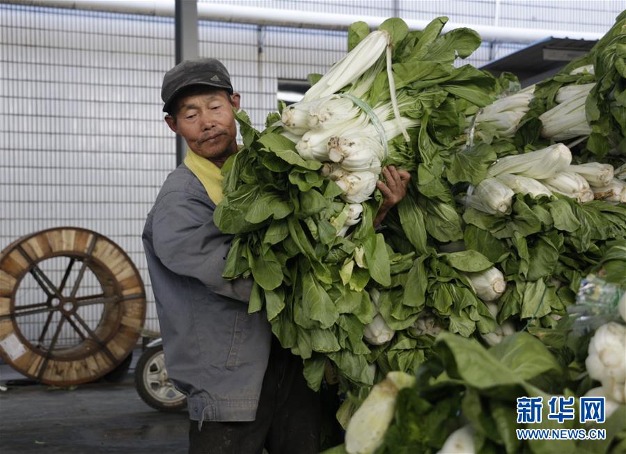 (全面建成小康社會“百城千縣萬村調(diào)研行”·圖文互動)(3)安徽當涂:強產(chǎn)業(yè)抓主體促增收