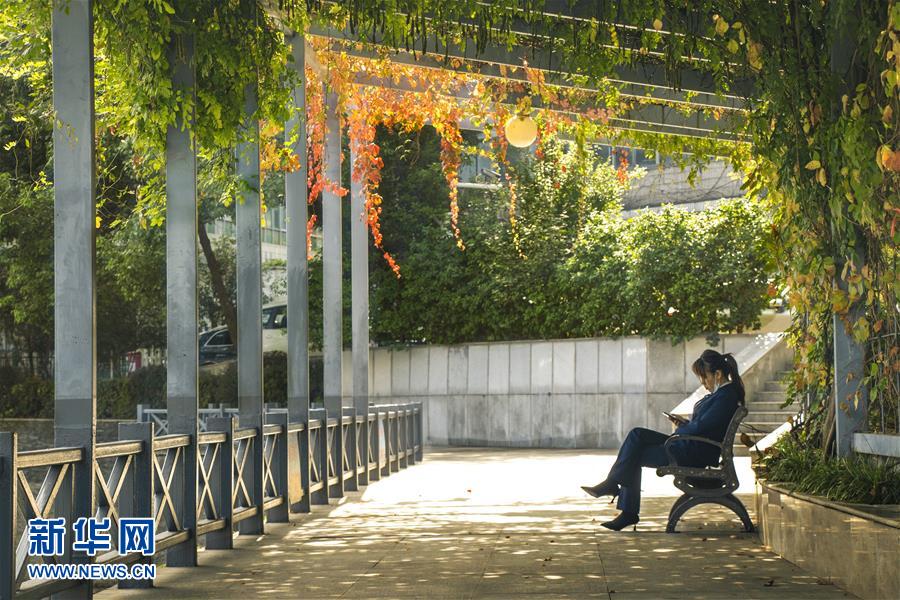 （全面建成小康社會(huì)&ldquo;百城千縣萬(wàn)村調(diào)研行&rdquo;&middot;圖文互動(dòng)）（2）武漢：從&ldquo;見(jiàn)縫插樓&rdquo;到&ldquo;見(jiàn)縫播綠&rdquo;