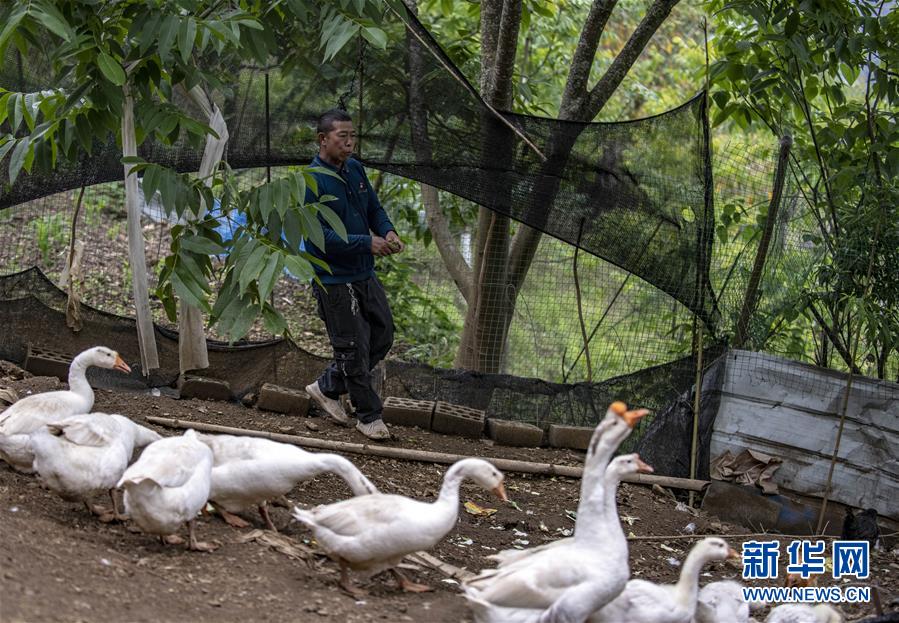 （新華全媒頭條&middot;兩會(huì)精神看落實(shí)&middot;圖文互動(dòng)）（8）培育新機(jī) 開(kāi)辟新局&mdash;&mdash;落實(shí)全國(guó)兩會(huì)精神激發(fā)經(jīng)濟(jì)發(fā)展新動(dòng)能述評(píng)