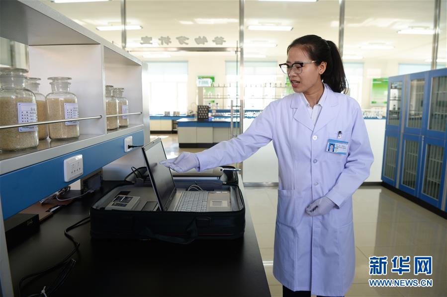 （新華全媒頭條&middot;圖文互動）（6）奮力書寫東北振興的時代新篇&mdash;&mdash;習(xí)近平總書記調(diào)研東北三省并主持召開深入推進東北振興座談會紀(jì)實