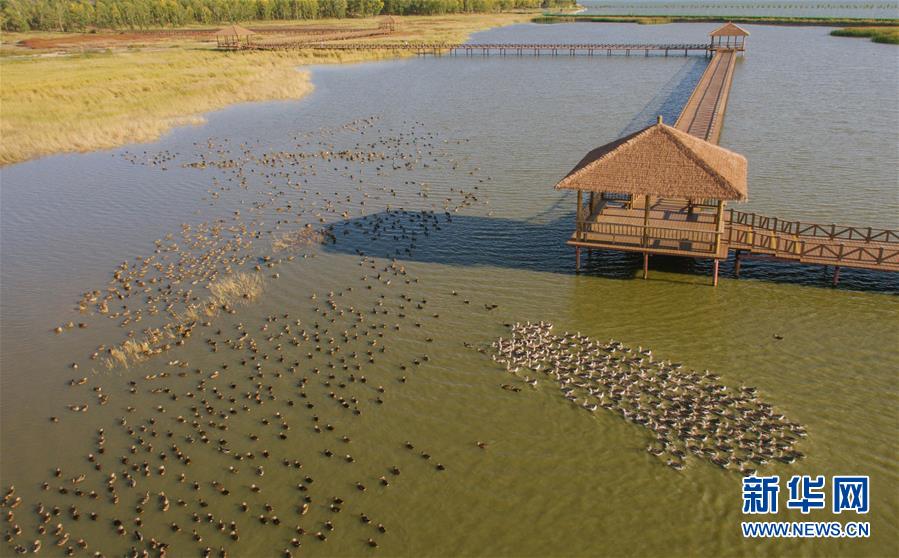 （新華全媒頭條&middot;圖文互動）（9）奮力書寫東北振興的時代新篇&mdash;&mdash;習(xí)近平總書記調(diào)研東北三省并主持召開深入推進(jìn)東北振興座談會紀(jì)實(shí)