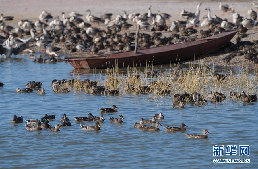 （新華全媒頭條&middot;圖文互動）（10）奮力書寫東北振興的時代新篇&mdash;&mdash;習(xí)近平總書記調(diào)研東北三省并主持召開深入推進(jìn)東北振興座談會紀(jì)實(shí)