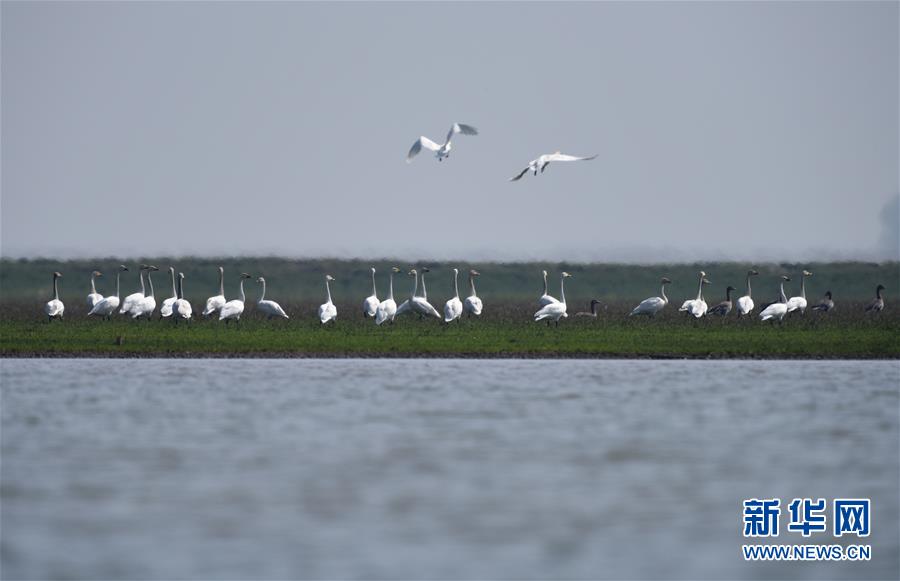 （新華全媒頭條&middot;圖文互動(dòng)）（11）潮起東方萬(wàn)象新&mdash;&mdash;以習(xí)近平同志為核心的黨中央團(tuán)結(jié)帶領(lǐng)全黨全軍全國(guó)各族人民貫徹落實(shí)黨的十九大精神紀(jì)實(shí)