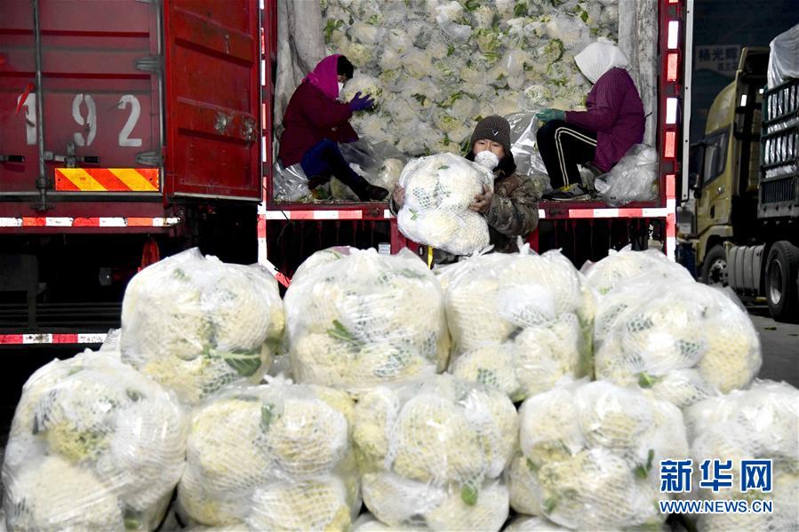 (在習近平新時代中國特色社會主義思想指引下——新時代新作為新篇章·習近平總書記關(guān)切事·圖文互動)(5)“菜籃子”里的力量——全國各地努力做好保障和改善民生工作在行動