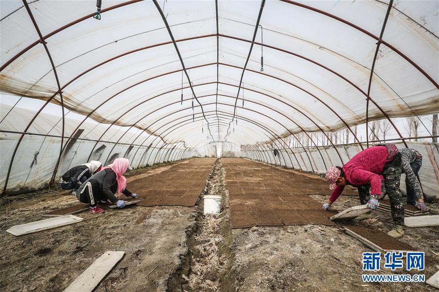 （在習(xí)近平新時(shí)代中國特色社會(huì)主義思想指引下&mdash;&mdash;新時(shí)代新作為新篇章&middot;習(xí)近平總書記關(guān)切事&middot;圖文互動(dòng)）（6）春耕忙 信心足&mdash;&mdash;谷雨時(shí)節(jié)走馬東北直擊糧事